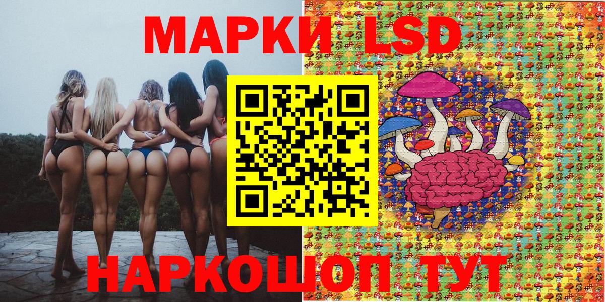 закладки  Наркотические марки 1,5мг  Вход с VPN  Королёв 