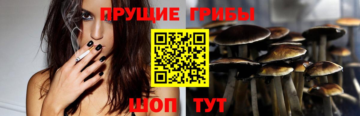 Псилоцибиновые грибы GOLDEN TEACHER Королёв